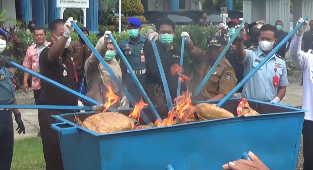 Screenshot_20250121_154348_Video Player