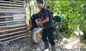 Screenshot_20250828_152052_Gallery