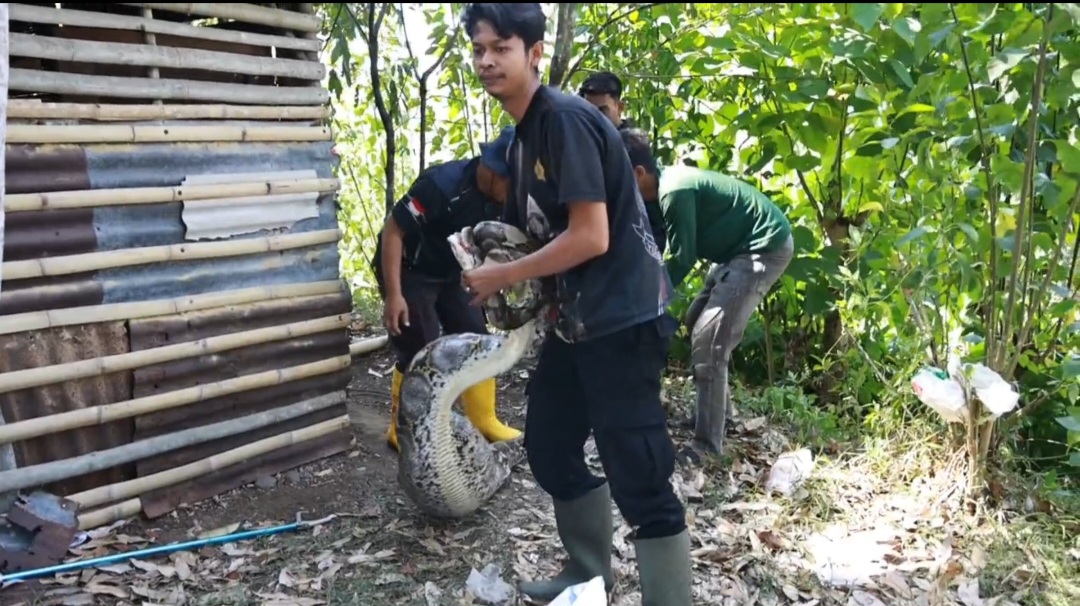 Screenshot_20250828_152052_Gallery